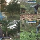 좋은아침의원 이미지