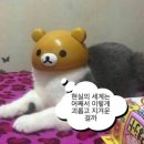 해피식자재 | [서울혼자놀기] 방이동 훠궈 맛집 태산회전훠궈방문 후기 (1인훠궈)