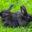 동탄대로 이미지