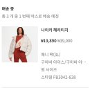 3042 | 나이키 플래쉬 세일 : 저렴하게 구매한 후기 / DR9761-003 / FB3042-838 / FB8271-051