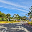 이용식농장 이미지