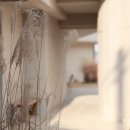 남해-298 | [남해] 감성숙소 오션뷰 풀빌라 '도래' 내돈내산 방문기