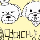 멈머다냥 이미지