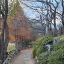 선암호수공원 아름다운 화장실 | 울산 가볼만한곳 "선암호수공원" 주차 및 종합정보 (feat.가을의 끝에서)