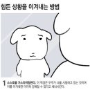 (짤 무서울수있음) 우리회사 화장실 거울 진짜 ㅈㄴ 못생겨보여 이미지