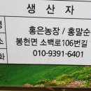 홍은농장 이미지