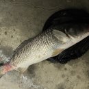 원실내바다낚시터 이미지