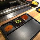뉴천리향