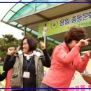 용일초등학교 이미지