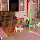 산호노래연습장 이미지