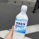 오사카 여행 3일차(2) 교토 철도길이 예쁜 대나무숲 아라시야마 치쿠린 방문 후기