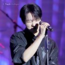 플레로마 이미지