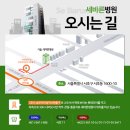 세바른병원 | 풍선확장술, 언제 하는 것이 좋을까? 협착증 수술 전 꼭! 확인해야 하는 비수술치료 세바른병원