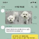 사개절 펫살롱 이미지