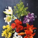 플라워 테라피 이미지