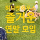 일편댕심 네이버블로그
