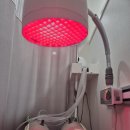 이상근 | 일산 허리디스크 및 이상근증후군 내돈내산 재활치료 운동 후기