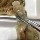 풍납만둣집