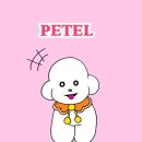 DOG채 애견스테이 | 독채애견스테이 경주 감성 풀빌라 숙소 페텔 예약