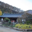 초전고택 티스토리