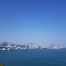 이기대 동생말 이미지