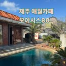 오아시스 | 제주 애월카페 이동건 카페 오아시스80 방문후기