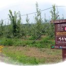 성문 농장 이미지