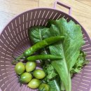 가평루이네민박 이미지