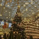 스타무역 | 데이트 추천 코엑스 추천 후기 - 코엑스몰 스타필드 별마당도서관 / 현대백화점 무역센터점 고디바베이커리