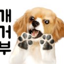 미사서울동물병원 이미지