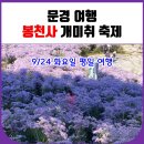 9/24 평일 여행 문경 봉천사 개미취축제 이미지