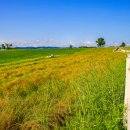 라일락목장 이미지