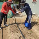 대랑농장 이미지