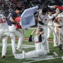 비로소, 여름 이미지