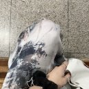 포투에잇