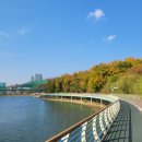 용인 가을 나들이! 가을이 온 아름다운 기흥호수!