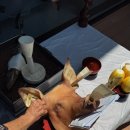 지우농원 이미지