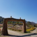 전주북일초등학교 이미지