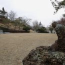 명주온당 | 강완숙 골룸바(1761-1801)