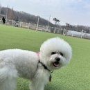 레인바우 이미지