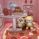 드림하우스 | 온꼬미즈 드림하우스 다녀왔어요🌛