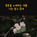 ♧아름다운 만남의 시_김소엽 시인,아동문학가 동심으로 사는 그리스도인 (제2회) "가시나무 새" 이미지