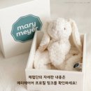 디어베어 이미지