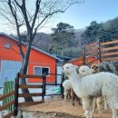 상교농장 이미지