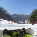 비발디렌통령 네이버블로그