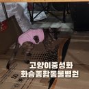 화승종합동물병원 | 부산 고양이 중성화 수술 TNR 후기