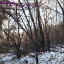 내곡동412 이미지