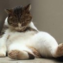 프로핏97 이미지