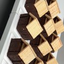 단국대 바른 태권도장 이미지