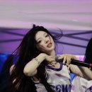 스텔라지